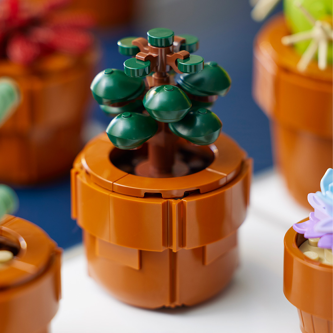 LEGO Botanical Collection 10329 Tiny Plants est plus un pot qu'une plante