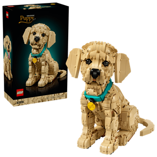 LEGO 11384 Le chiot Golden Retriever