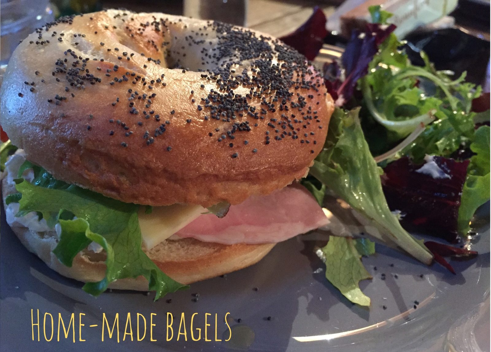 Les Bagels de Carolina