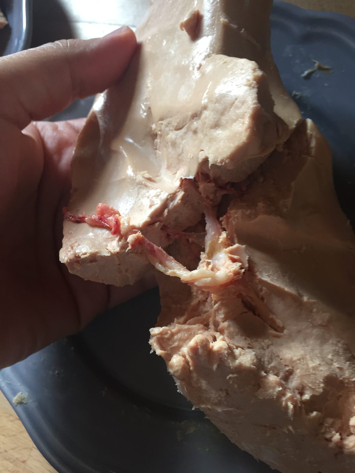 Le foie gras en terrine en 15 minutes pour les débutants
