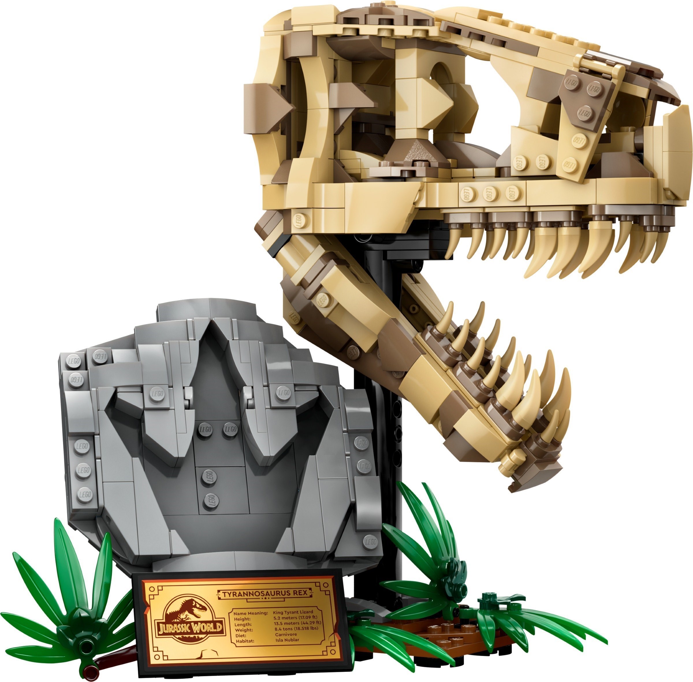 LEGO 76964 Dinosaur Fossils : crâne de T. rex