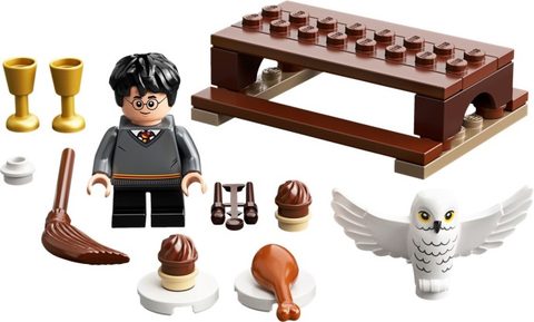 LEGO 30420 Harry Potter et Hedwige : la livraison de la chouette