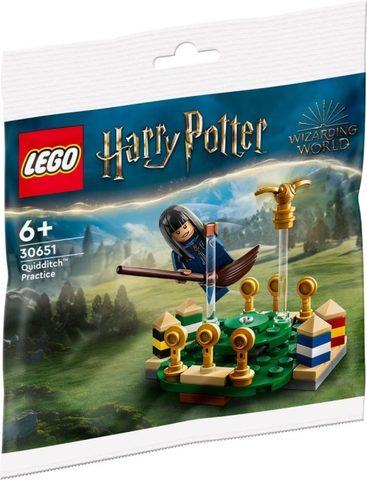LEGO 30651 L’entraînement de Quidditch