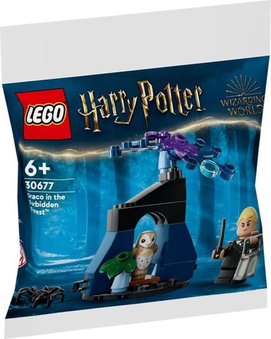 LEGO 30677 Drago dans la Forêt interdite