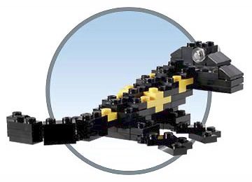 LEGO COLUMBUS Salamander